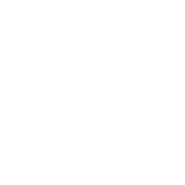 White rollerskate wheel Icon