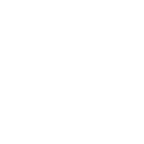 White skateboard wheel Icon